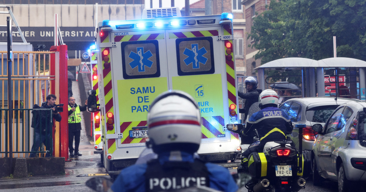 French hantavirus patient in critical condition on artificial lung as outbreak reaches 11 cases