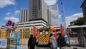 French hantavirus patient in serious condition as outbreak reaches 11 cases