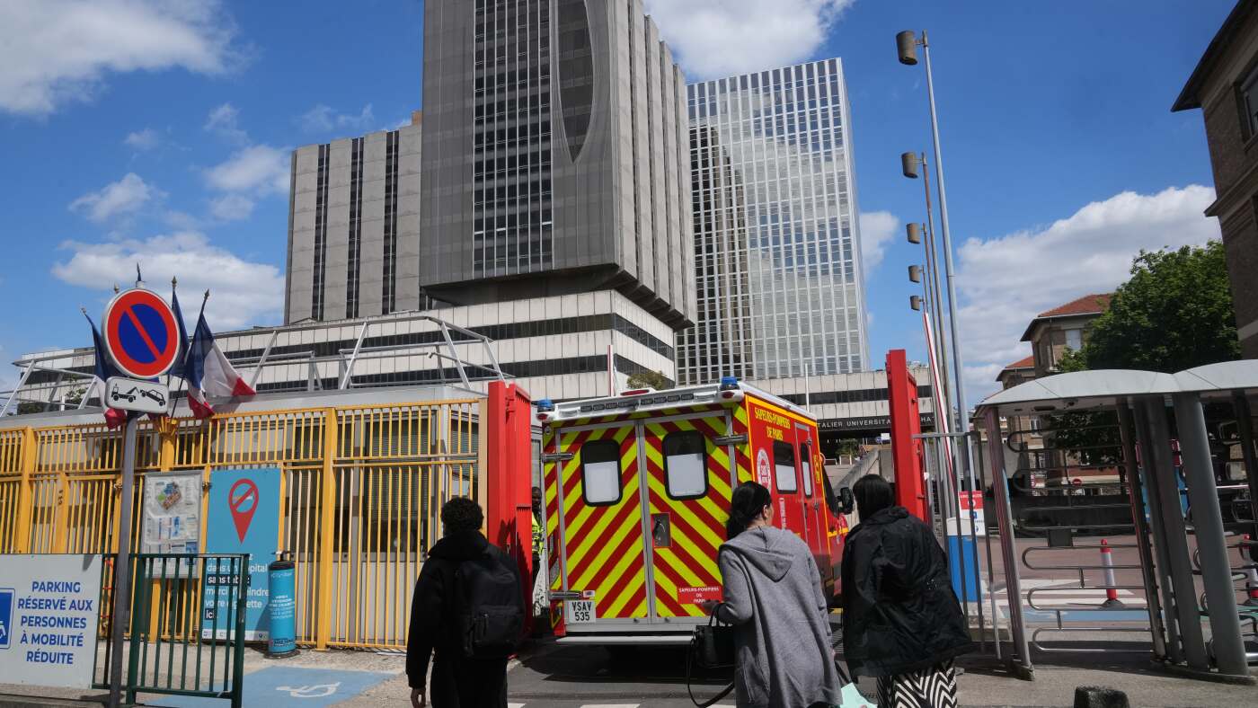 French hantavirus patient in serious condition as outbreak reaches 11 cases