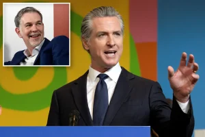 Gavin Newsom receives support from a Hollywood billionaire for the White House