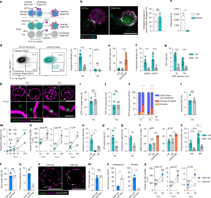HIV-1 signaling alters nuclear pores to enable infection