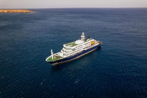 Hantavirus on Cruise Ship: U.S. Patients Arrive—Country Lessens Concern