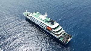 Hantavirus outbreak on cruise ship sparks concerns about misdiagnosis, doctor cautions