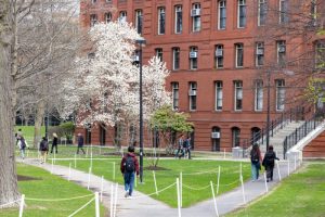 Harvard to limit 'A' grades to 20% to address grade inflation