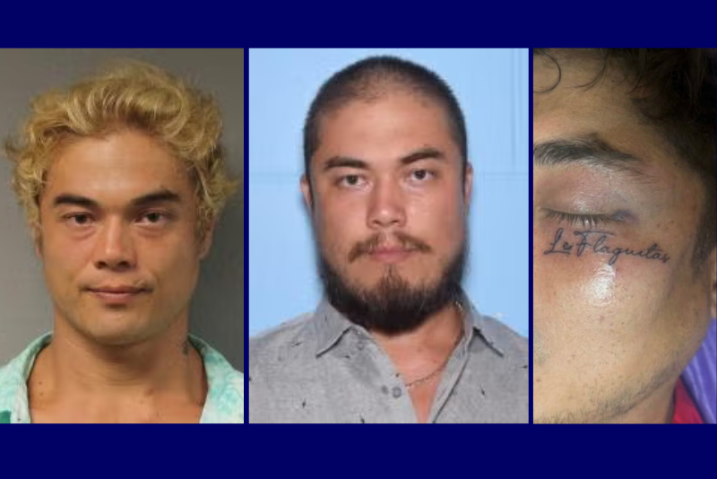 Hawaii: Man detained after three murders in 48 hours