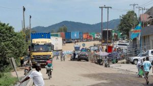 Health organization identifies 906 cases and 223 deaths linked to Bundibugyo strain of Ebola