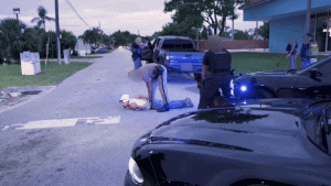 ICE captures suspected MS-13 gang member in Palm Beach County on video