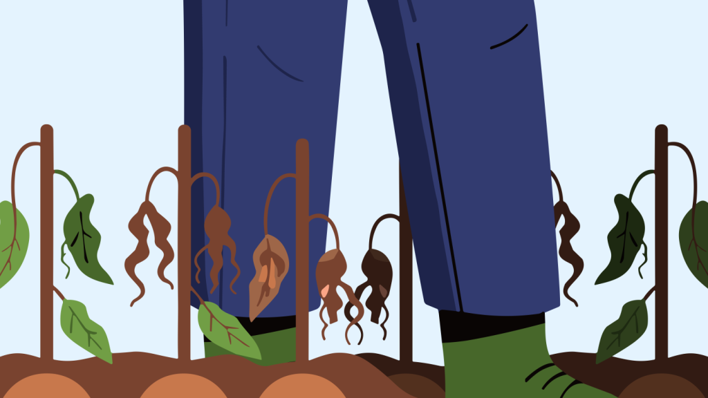Illness, Drought, Climate Change — And the Satisfaction of Resisting