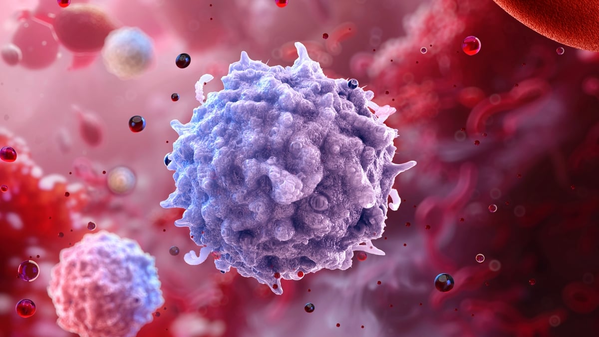 Immune Cells 'Recall' Obesity Long After Losing Weight, Research Shows
