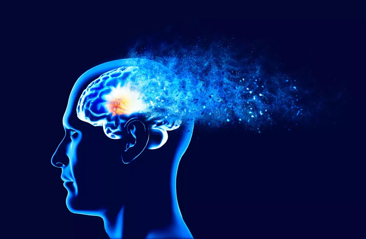 Initial Controlled Human Study Connecting Maitake Mushroom Intake to Enhanced Brain Function
