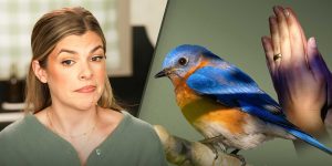 Is God bringing bluebirds to Christian influencers?