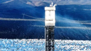Ivanpah solar facility causes death of thousands of birds without penalties given