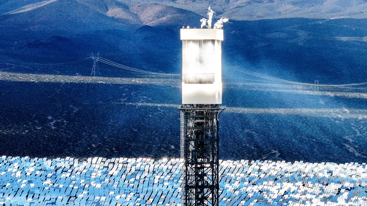 Ivanpah solar facility causes death of thousands of birds without penalties given