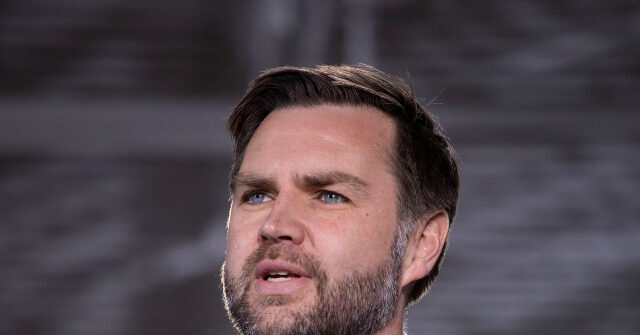 JD Vance's Task Force Pursues Comprehensive Government Efforts Against Fraud