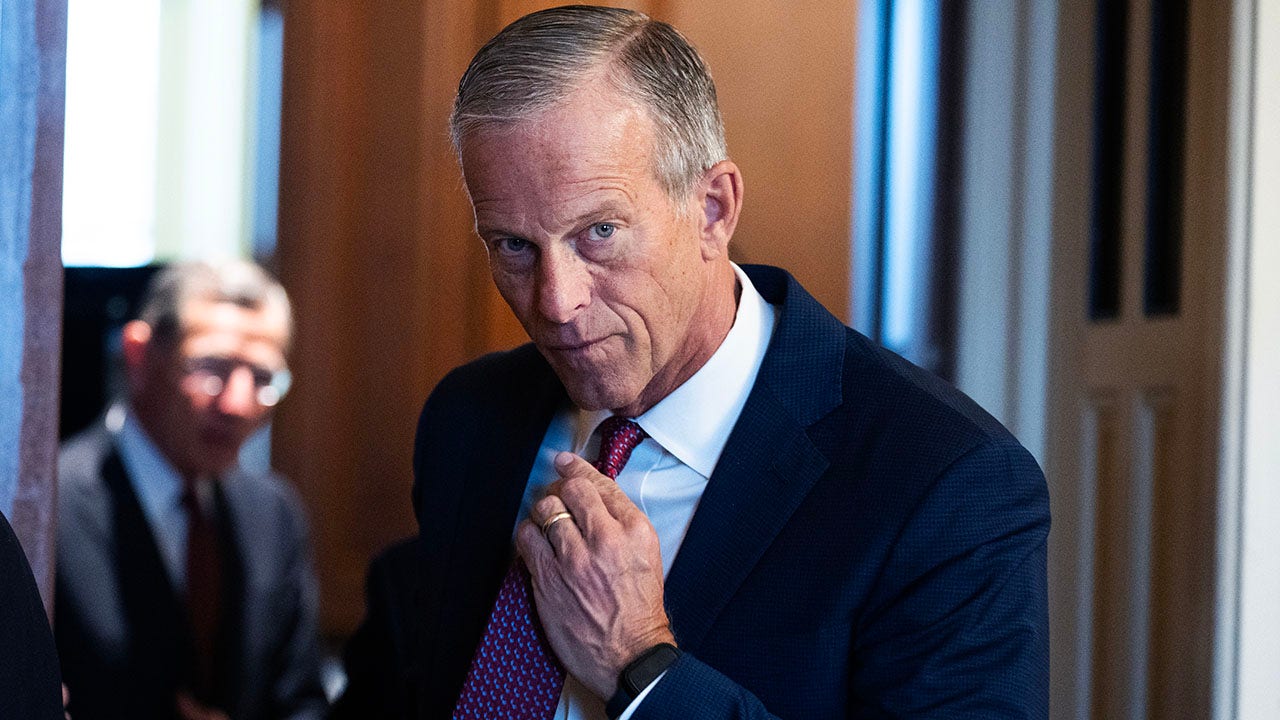 John Thune supports Ken Paxton for Texas Senate following GOP primary victory