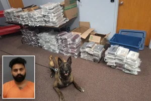 K9 in Nebraska discovers 525 pounds of cocaine during traffic stop, resulting in the arrest of a man from California.