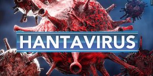 KDHE verifies Hantavirus contacts in Kansas