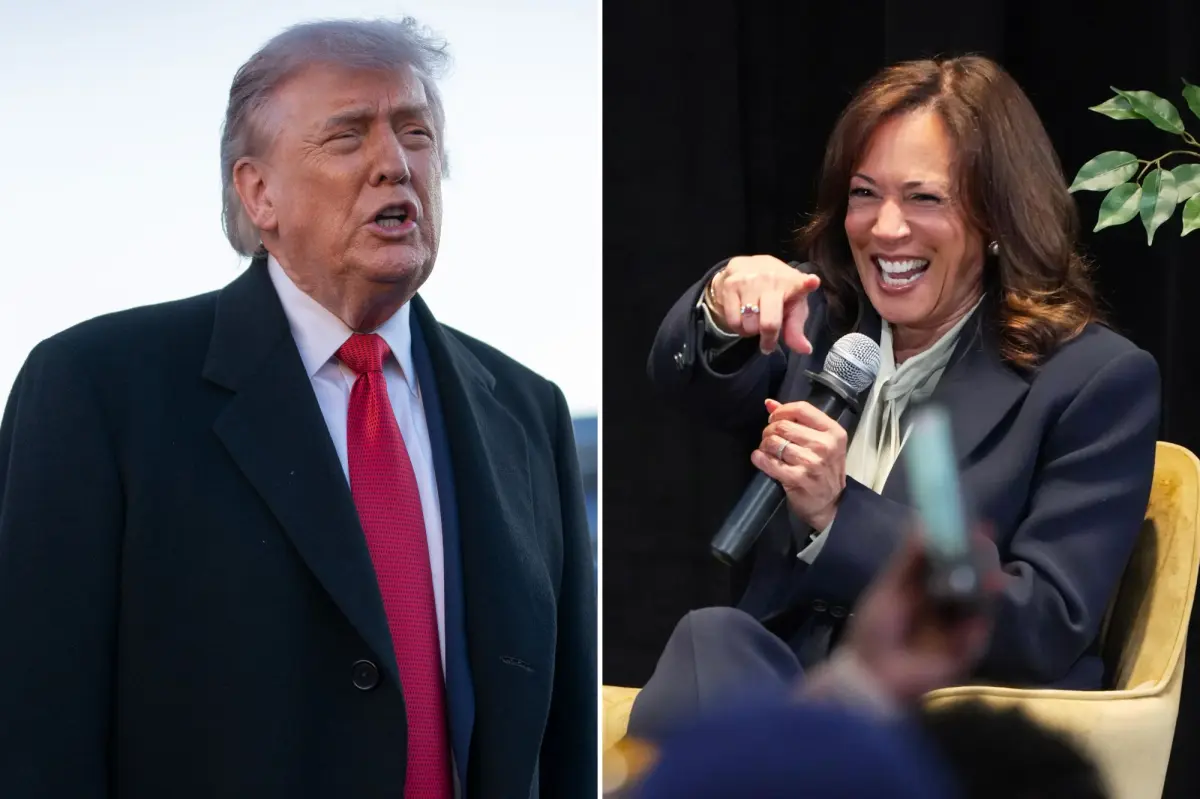 Kamala Harris criticizes Trump in a confusing verbal outburst