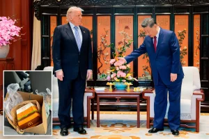 Lavish tea menu for Trump and Xi disclosed while US delegation receives McDonald's