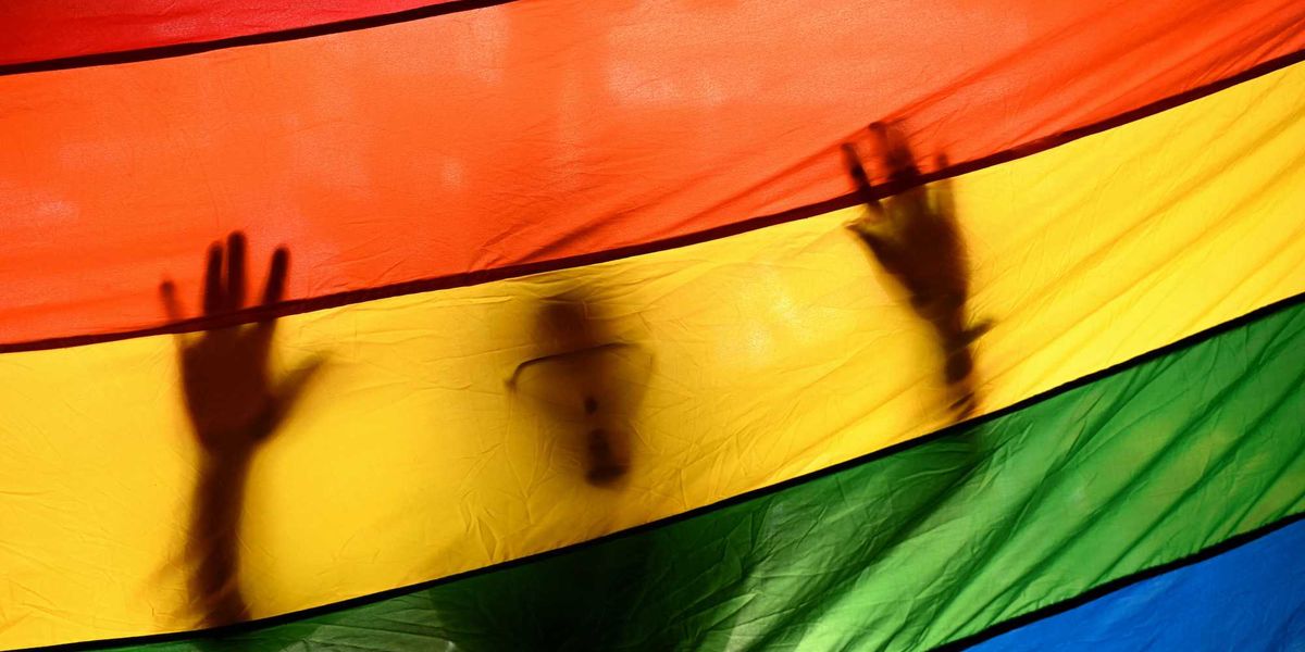 Lesbians in Florida claim that a $250 daily fine for their rainbow fence breaches their constitutional rights