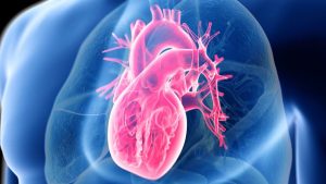 Major Study Shows That Maintaining Heart Health Doesn't Depend on Low-Carb or Low-Fat Diets