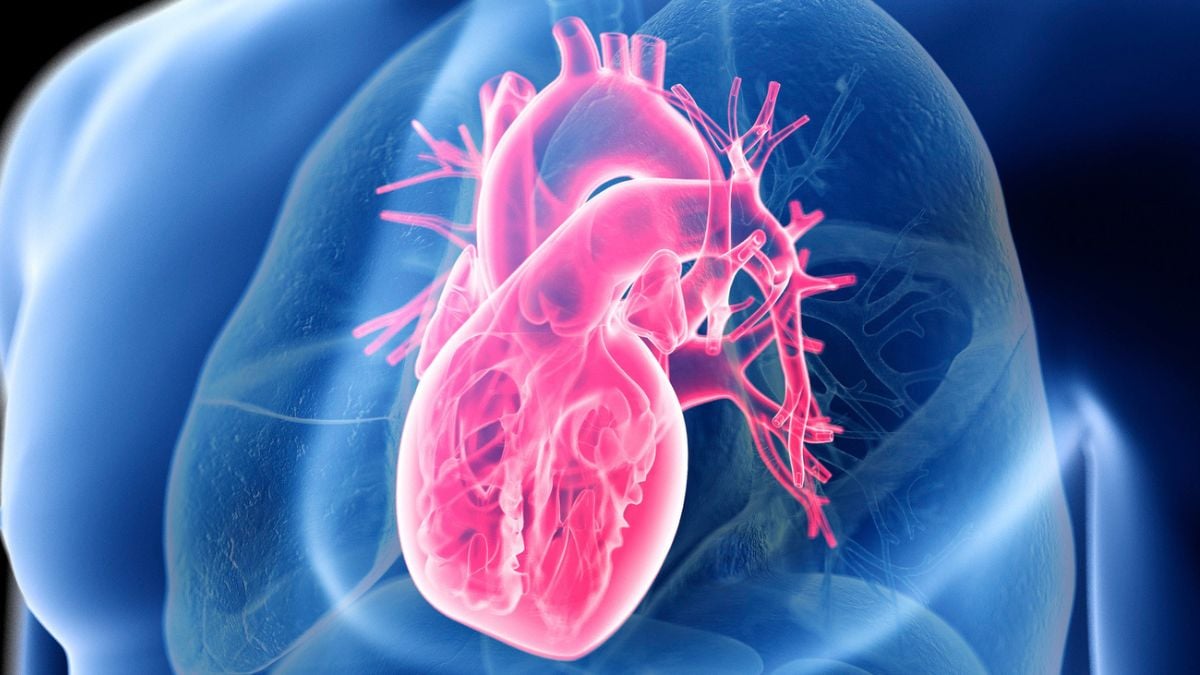 Major Study Shows That Maintaining Heart Health Doesn't Depend on Low-Carb or Low-Fat Diets
