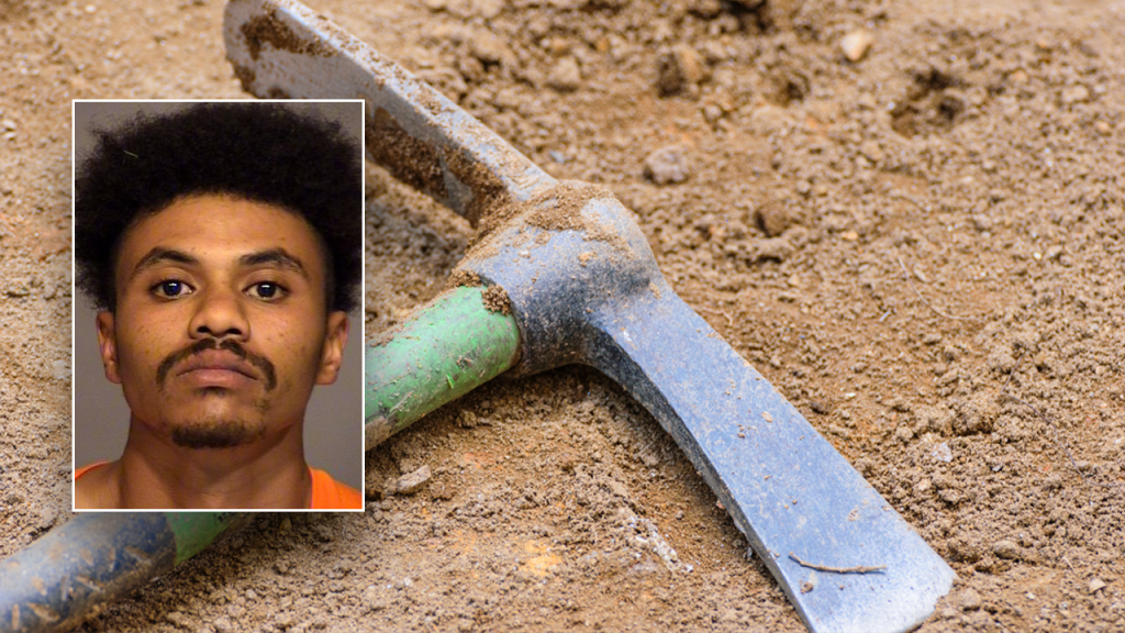 Man in California gets prison time for killing his disabled teenage brother with a pickaxe