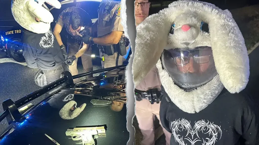 Man in bunny helmet charged with leading 120 mph police pursuit in Florida