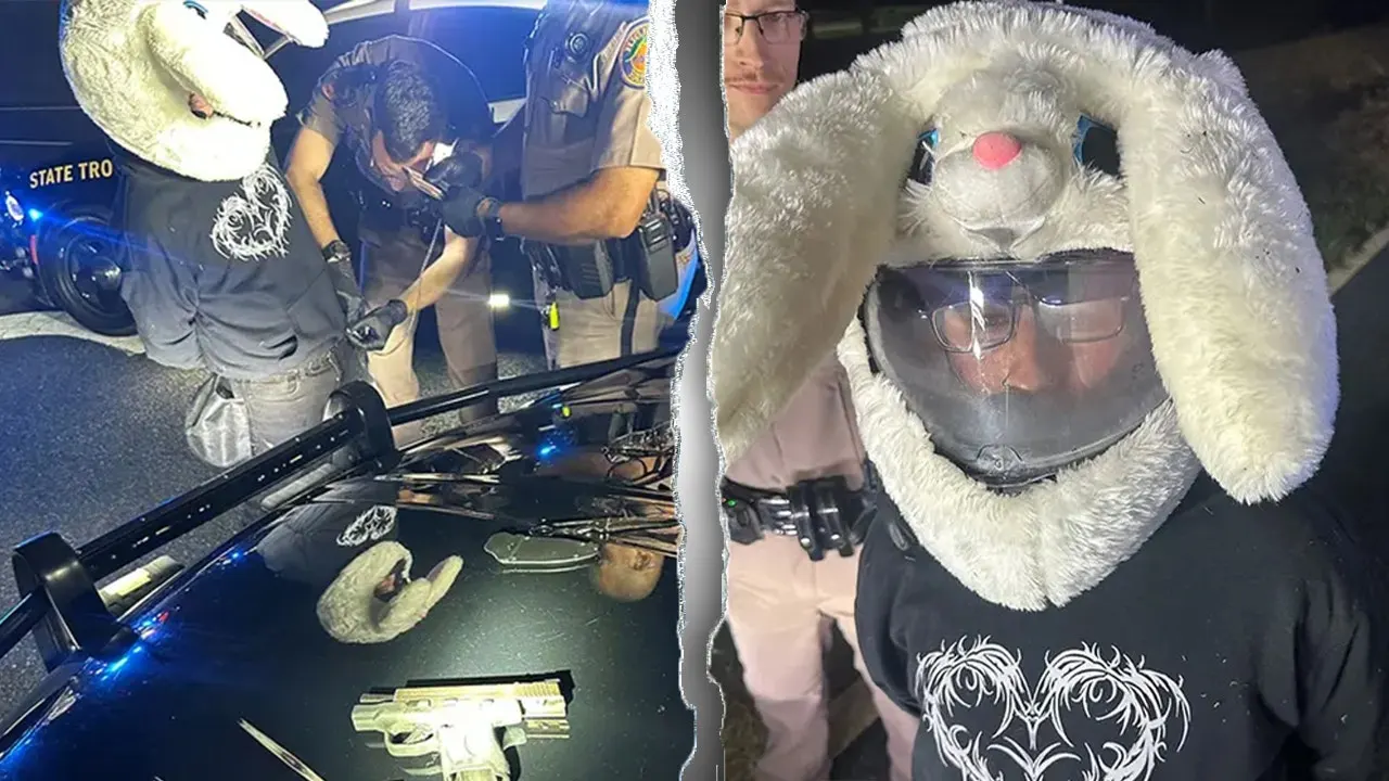 Man in bunny helmet charged with leading 120 mph police pursuit in Florida