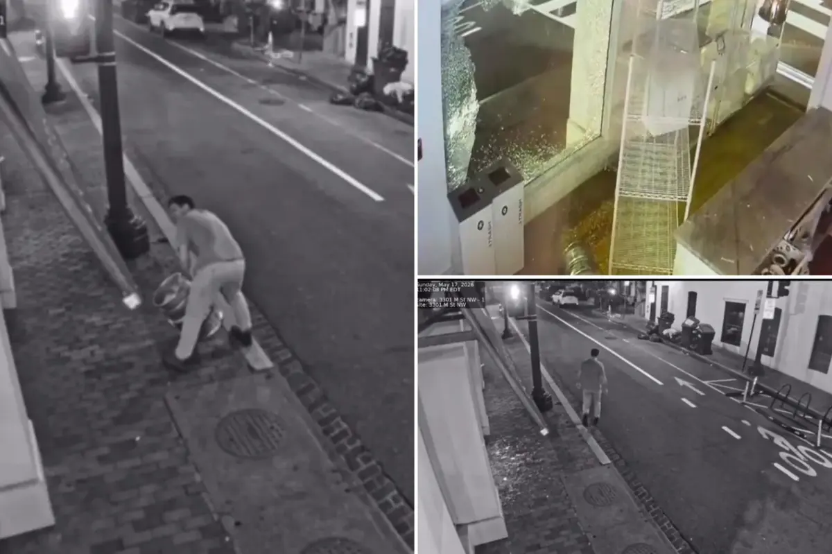 Man throws beer keg through window of Georgetown Cupcake in DC: video
