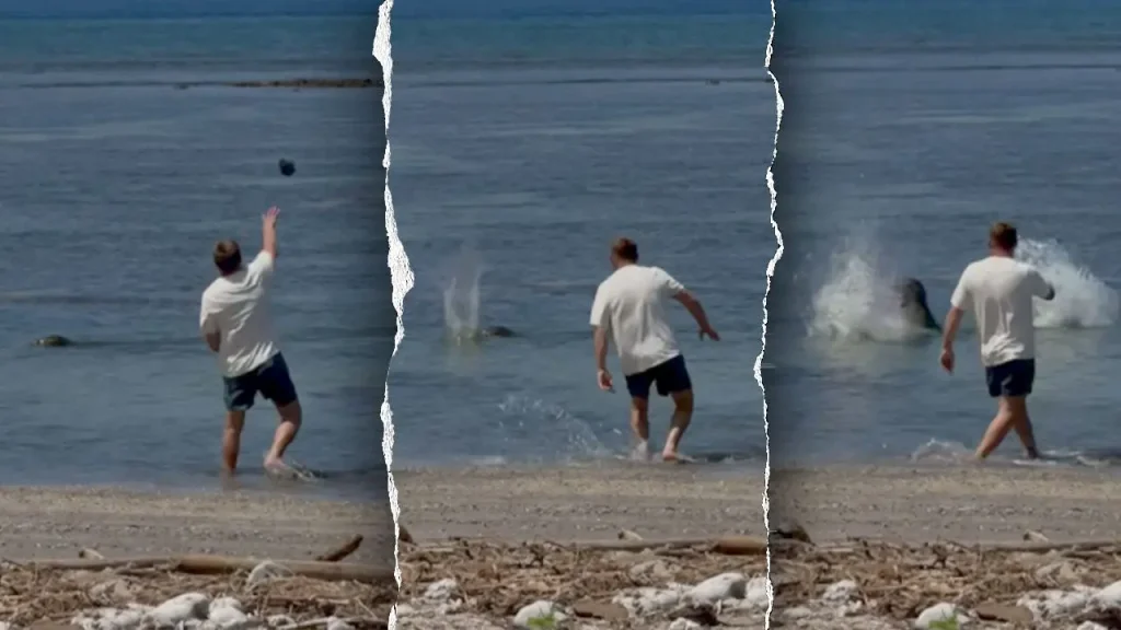 Man who claimed he was 'wealthy enough' confronts federal charges for seal assault