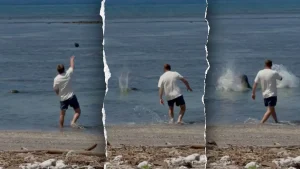 Man who claimed he was 'wealthy enough' confronts federal charges for seal assault