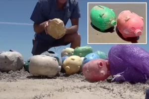 Many faulty piggybanks have appeared on Texas shores, and their origin remains a mystery.