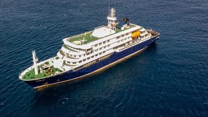 Medic showing rat virus symptoms receives treatment in UK hospital as nine others connected to the infected cruise prepare to arrive in Britain for isolation.