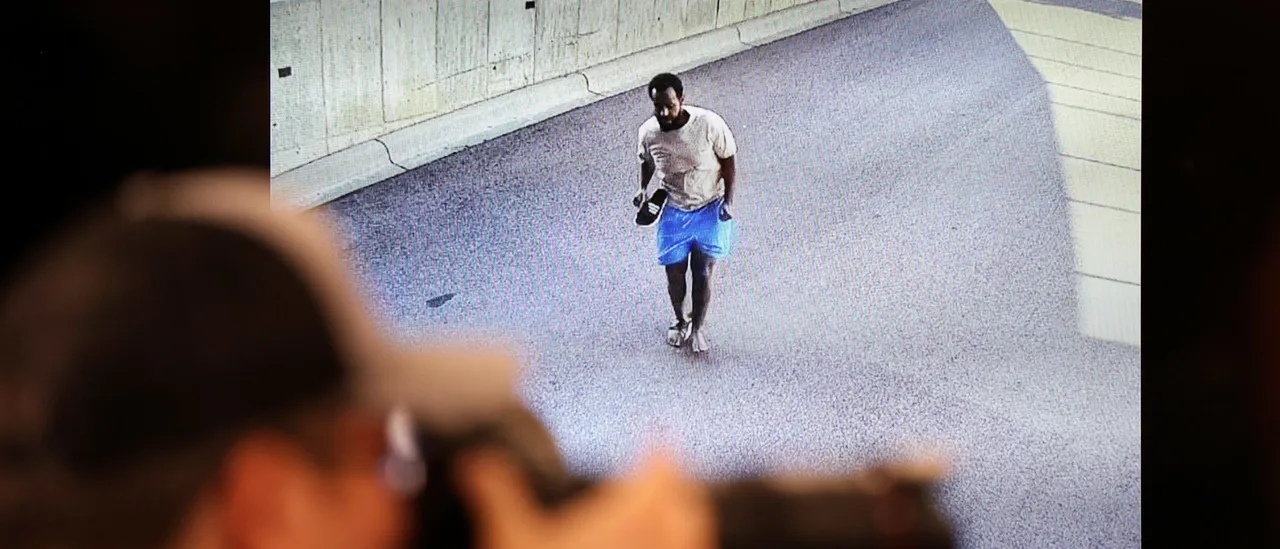 Minnesota Fraud Suspect Leaps From Fourth-Floor Balcony to Evade Authorities