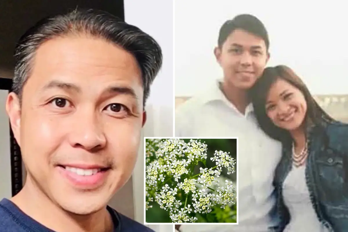 Murder trial in San Diego connected to missing wife includes claims of toxic plant involvement