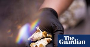 Mushrooms may be a helpful treatment for cocaine addiction, research indicates