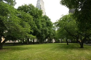 NYC taxpayers responsible for hefty $375K bill to replace 2 water fountains in 3 years