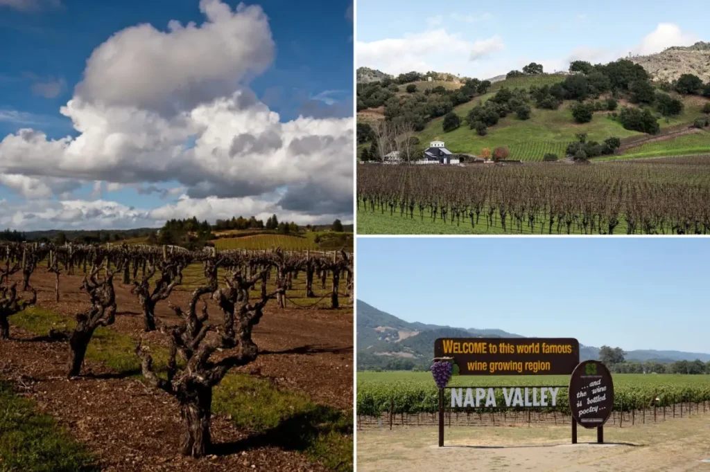 Napa Valley wineries confront a water shortage as specialists indicate the industry is not sustainable.