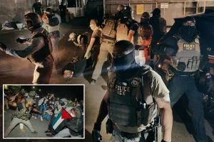 Opponents of ICE shout 'take up your weapons and end your life' at federal agents during intense Delaney Hall confrontation