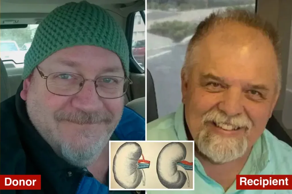 Organ donor unknowingly carried rabies, leading to recipient's death.