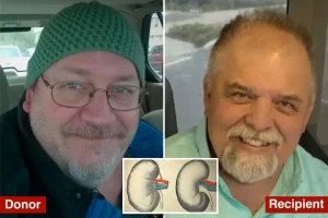 Organ donor unknowingly carried rabies, leading to recipient's death.