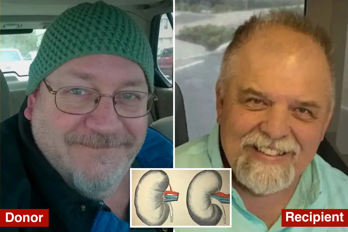 Organ donor unknowingly carried rabies, leading to recipient's death.