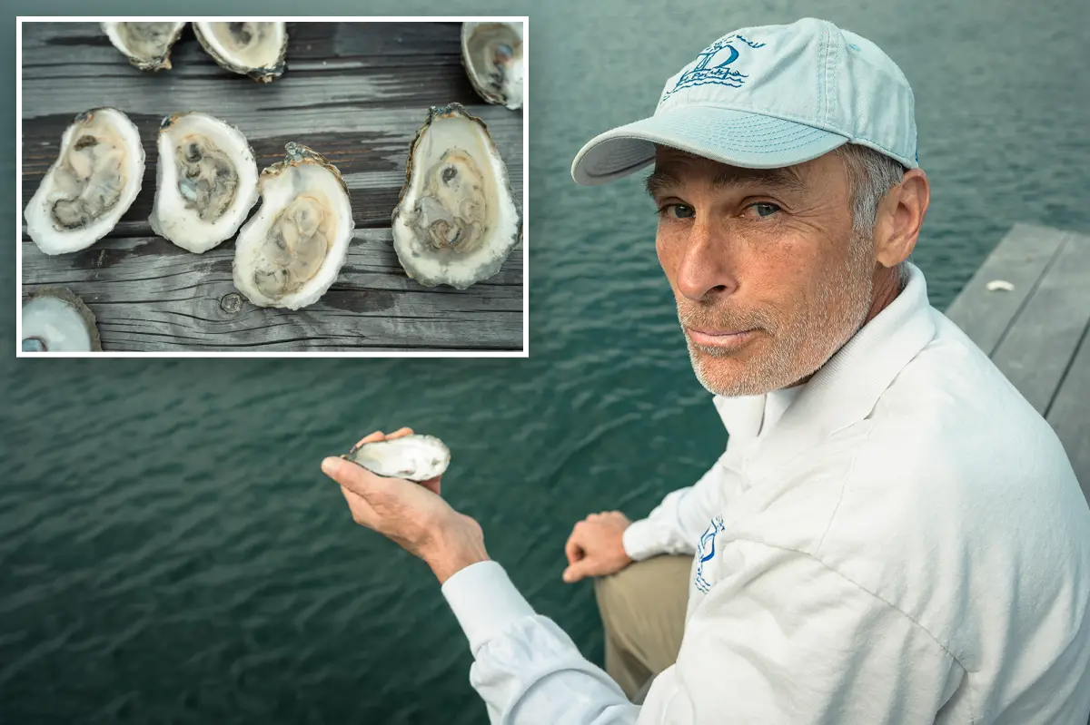 Oyster farmers face serious threat from dangerous bacteria alert