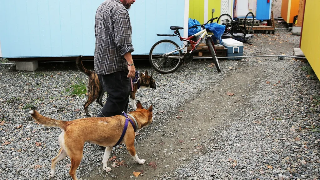 Pamphlet advising Seattle drug users on saving dogs from overdoses incites anger