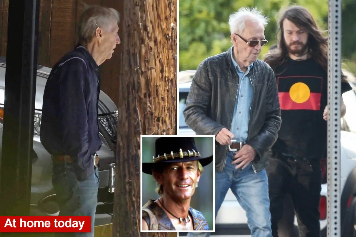 Paul Hogan's son taken into custody for domestic violence at home in Venice