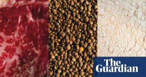People should strive for diversity: the benefits and drawbacks of common protein sources
