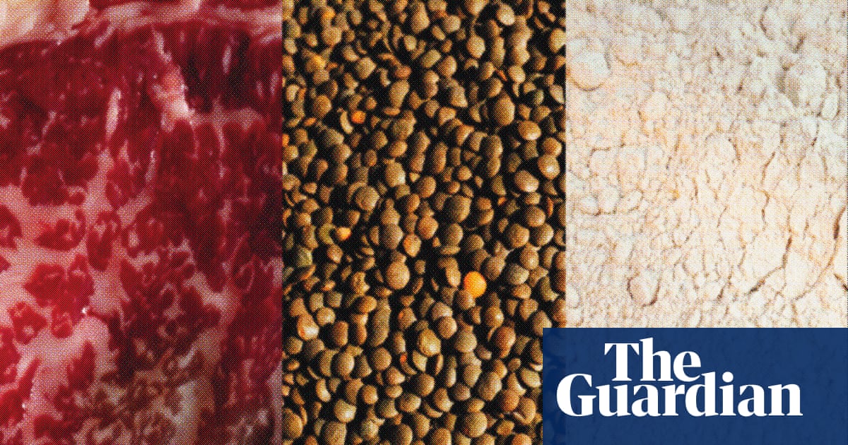 People should strive for diversity: the benefits and drawbacks of common protein sources