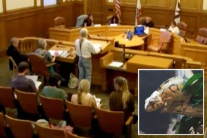 Pet store owners in San Francisco get ready to oppose the city's plan to prohibit the sale of live animals.