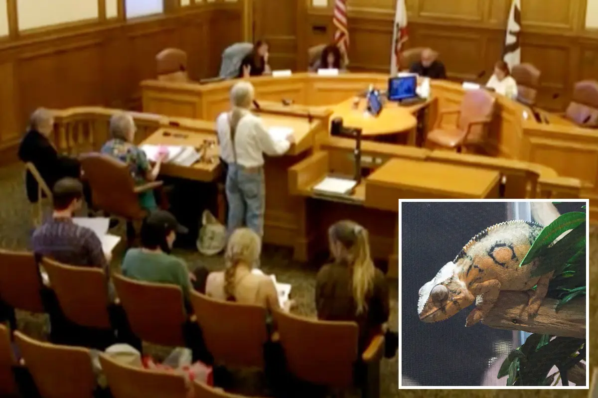 Pet store owners in San Francisco get ready to oppose the city's plan to prohibit the sale of live animals.